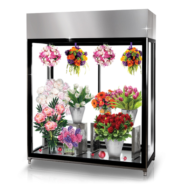 Vitrina expunere flori, 2205mm